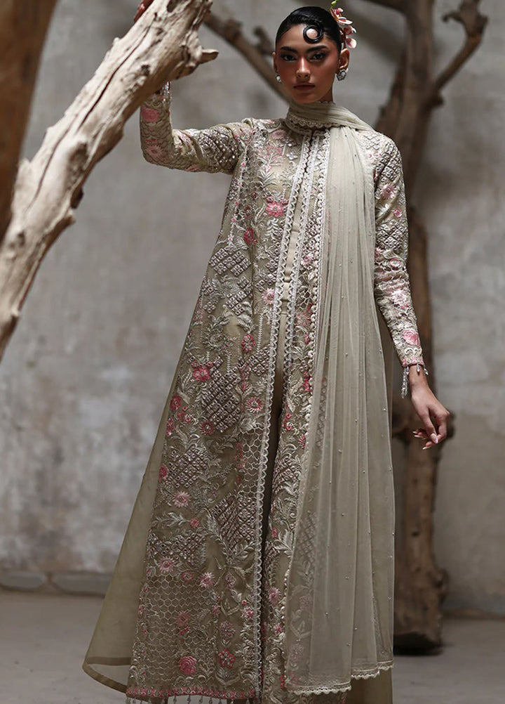 Thread and Motifs Pret Embroidered Organza 3 piece Suit 9217