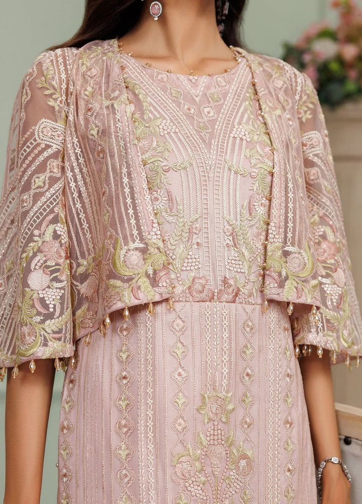 Threads And Motifs Pret Embroidered Net Dress 8917