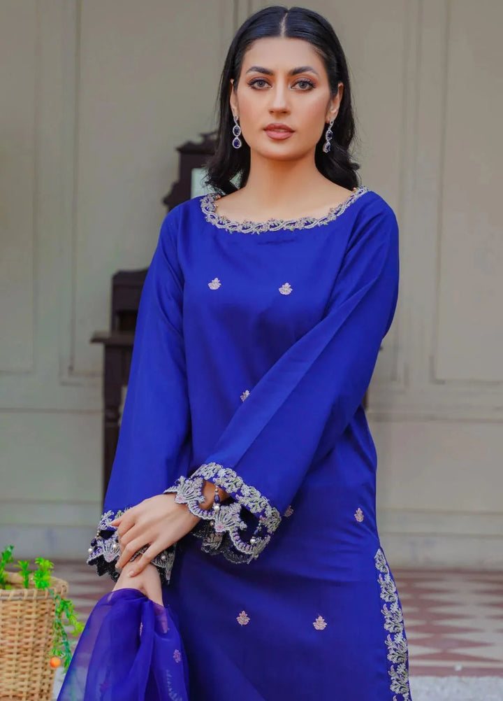 Threads And Weaves Pret Embroidered Viscose 3 Piece Suit RTWV24103