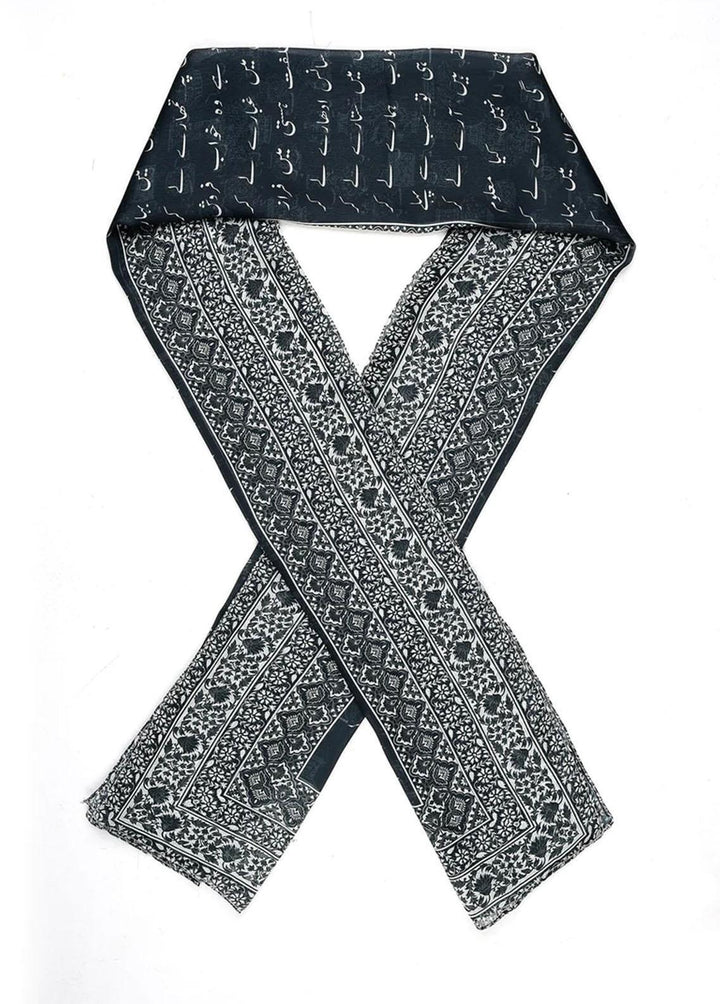 TNG Silk Stoles Sitara-e-Faraz - Stoles Collection