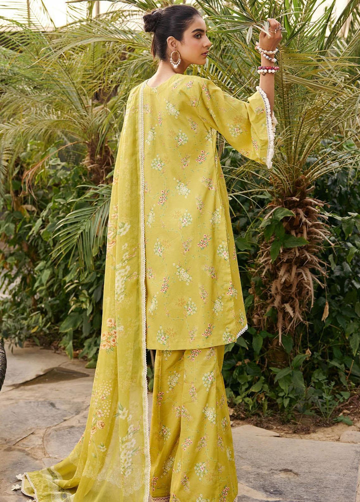 Umang By Motifz Embroidered Lawn Suits Unstitched 3 Piece MT23-U3 MWU03549 Define - Summer Collection