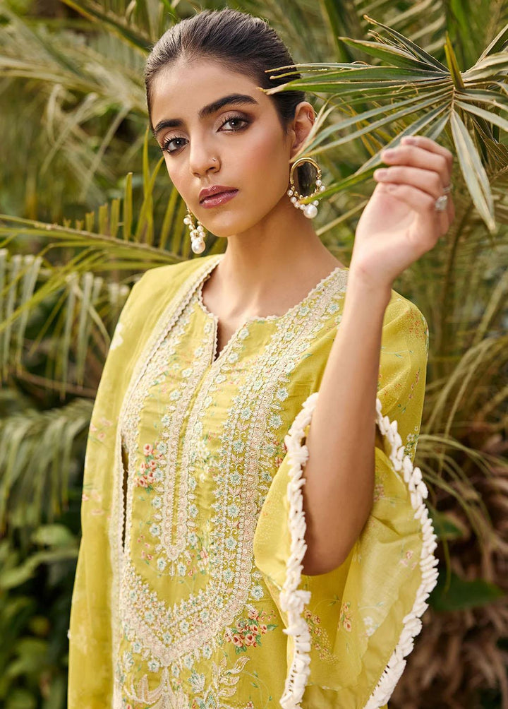Umang By Motifz Embroidered Lawn Suits Unstitched 3 Piece MT23-U3 MWU03549 Define - Summer Collection