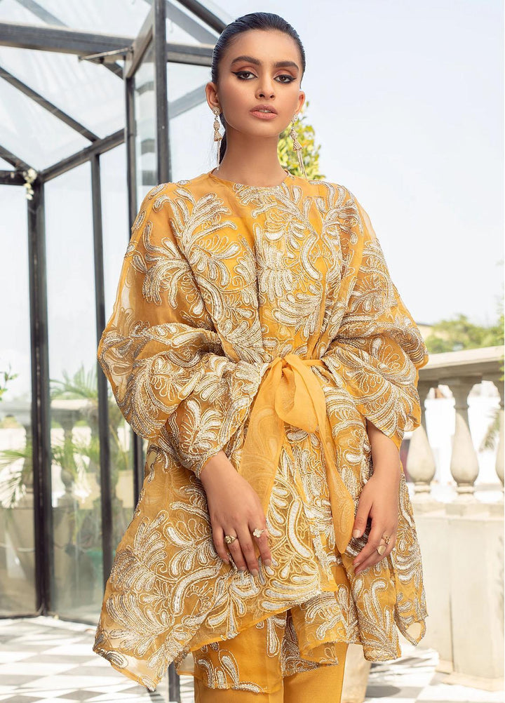 Vanya Party Wear Organza Stitched 2 Piece Dress FJ-09