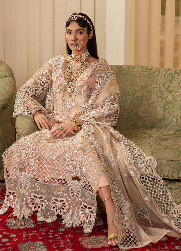 Vanya Formal Wear Organza Pret 3 Piece Suit MZ-07