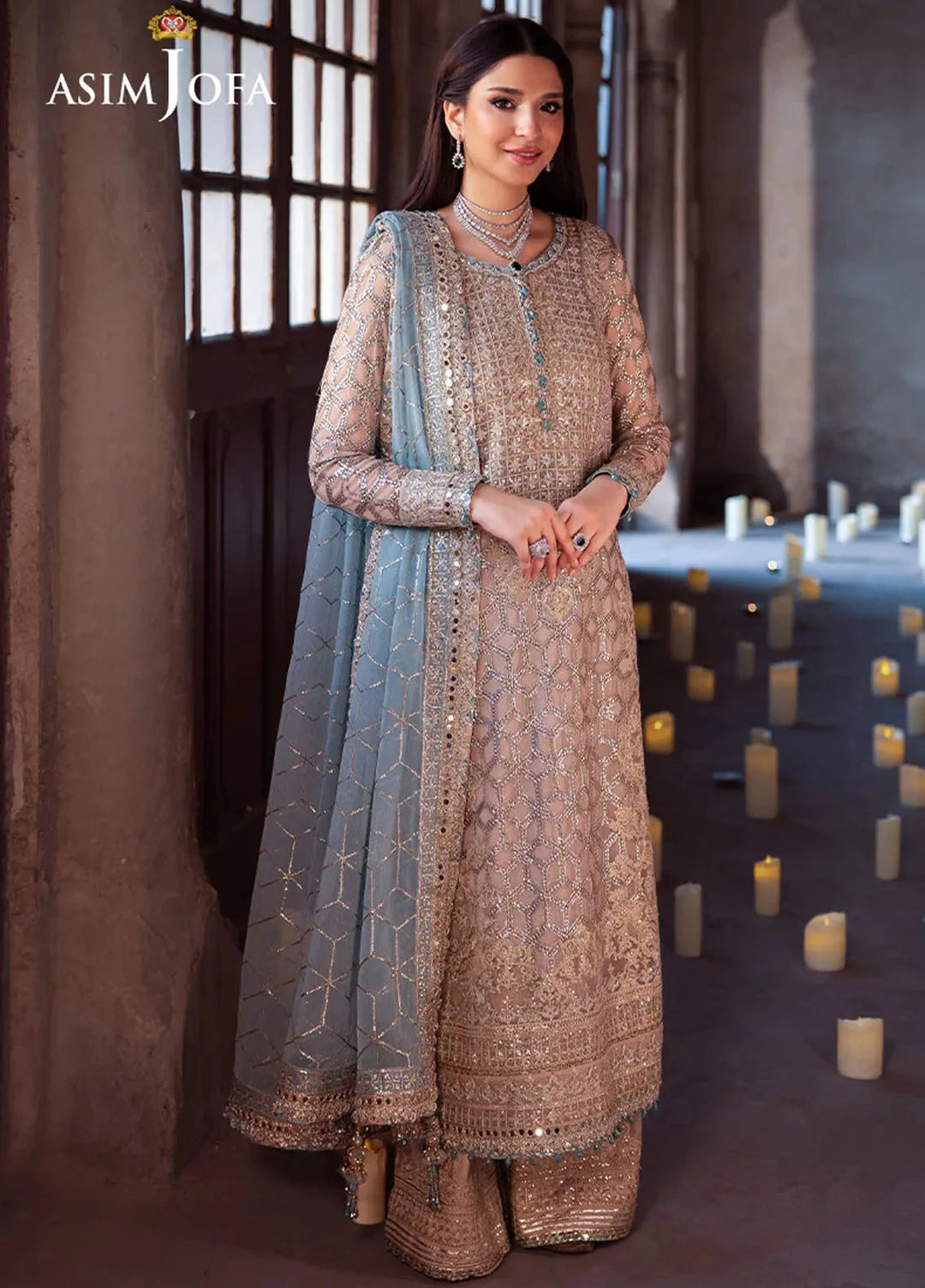 Vasl by Asim Jofa Embroidered Chiffon Suits Unstitched 3 Piece AJ24V AJYV-05 - Luxury Collection