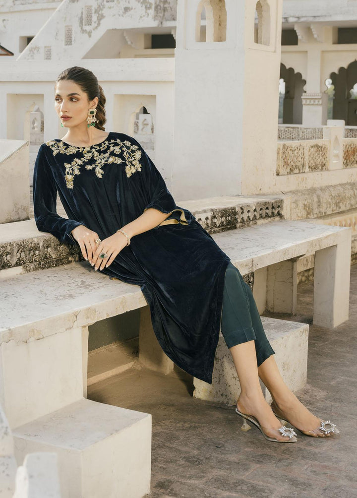 Naayas Pret Embroidered Velvet 2 Piece Suit Teal hues