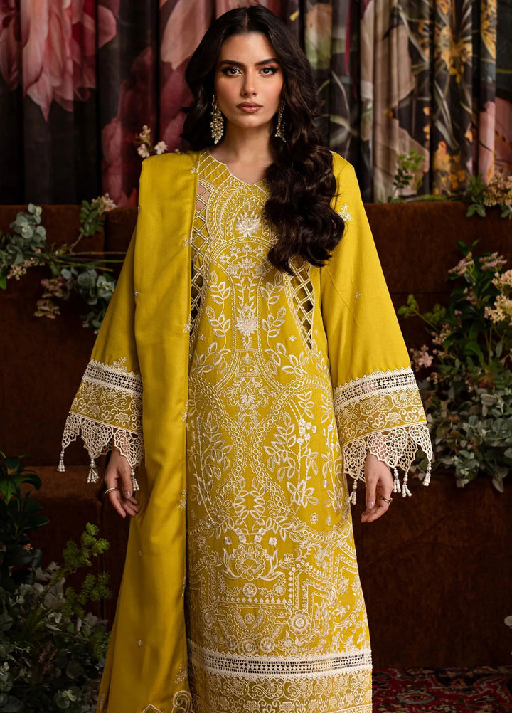 Veronica By Mahnur Embroidered Karandi Suit Unstitched 3 Piece MN24V D-06 Clara - Winter Collection