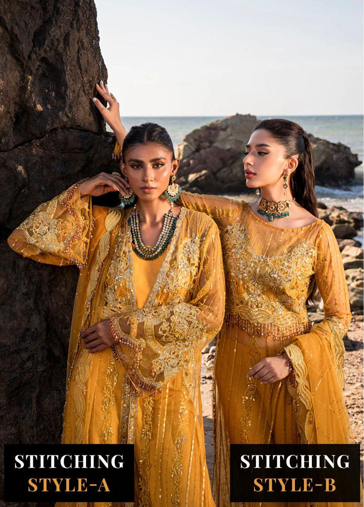 Versailles By Muneefa Naz Embroidered Net Suits Unstitched 4 Piece MN22V Monique - Wedding Collection