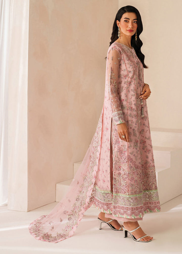 Xenia Embroidered Net Suits Unstitched 3 Piece XE25NU D-09 Ashal - Formals Collection