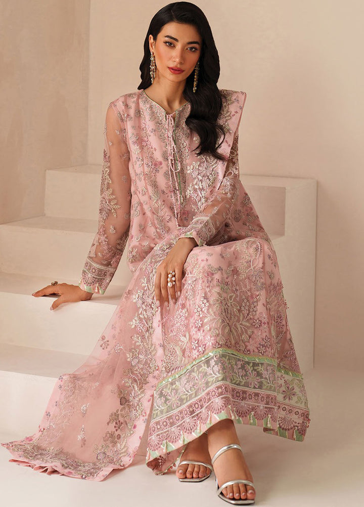 Xenia Embroidered Net Suits Unstitched 3 Piece XE25NU D-09 Ashal - Formals Collection