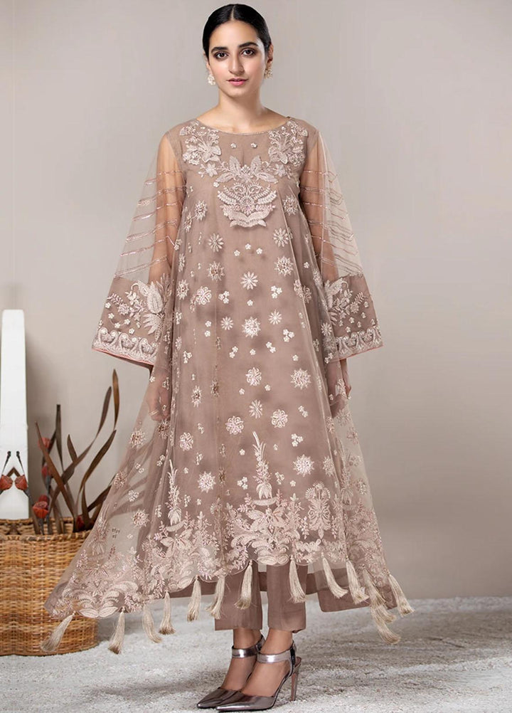 Xenia Formals Embroidered Net Stitched 3 Piece Suit Noelle XFR-20-169