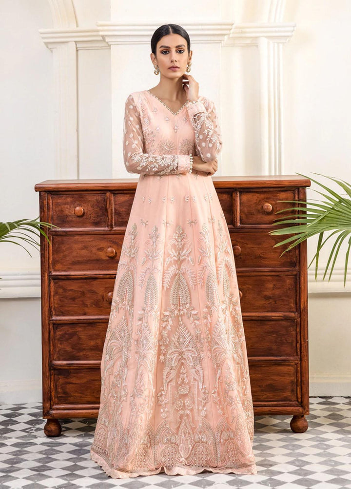 Xenia Formals Pret Embroidered Net 3 Piece Suit ZHIAN XFR-22-324