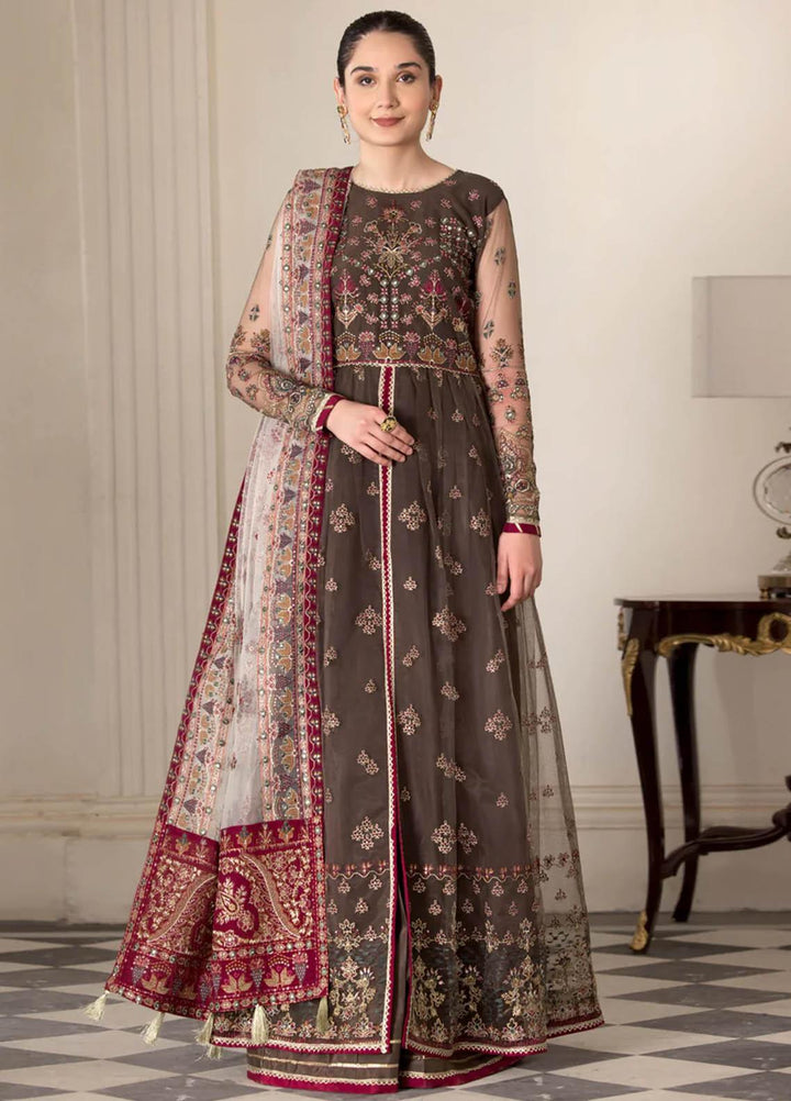 Xenia Formals Luxury Pret  Net 3 Piece Dress ELENA XFR-22-426