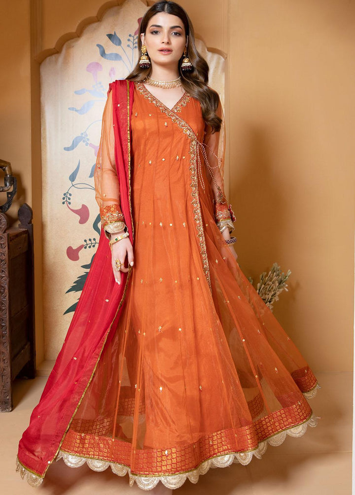 Zaaviay Luxury Pret Embroidered Net 3 Piece Dress Sitar