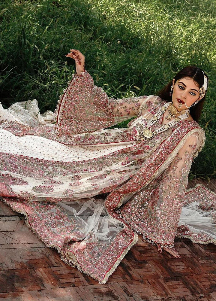 Zaib-un-Nisa by Hussain Rehar Embroidered Net Suits Unstitched 4 Piece HRR23ZN Mahtab - Festive Collection