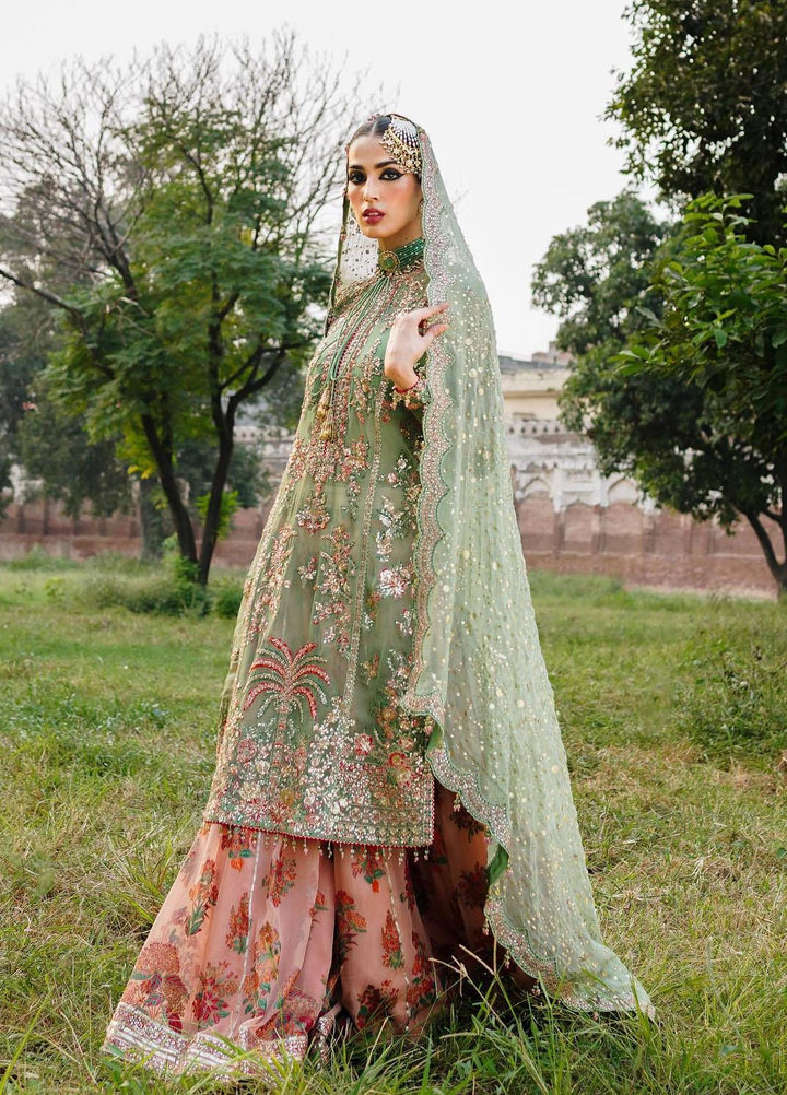 Zaib-un-Nisa by Hussain Rehar Embroidered Chiffon Suits Unstitched 4 Piece HRR23ZN Rang - Festive Collection