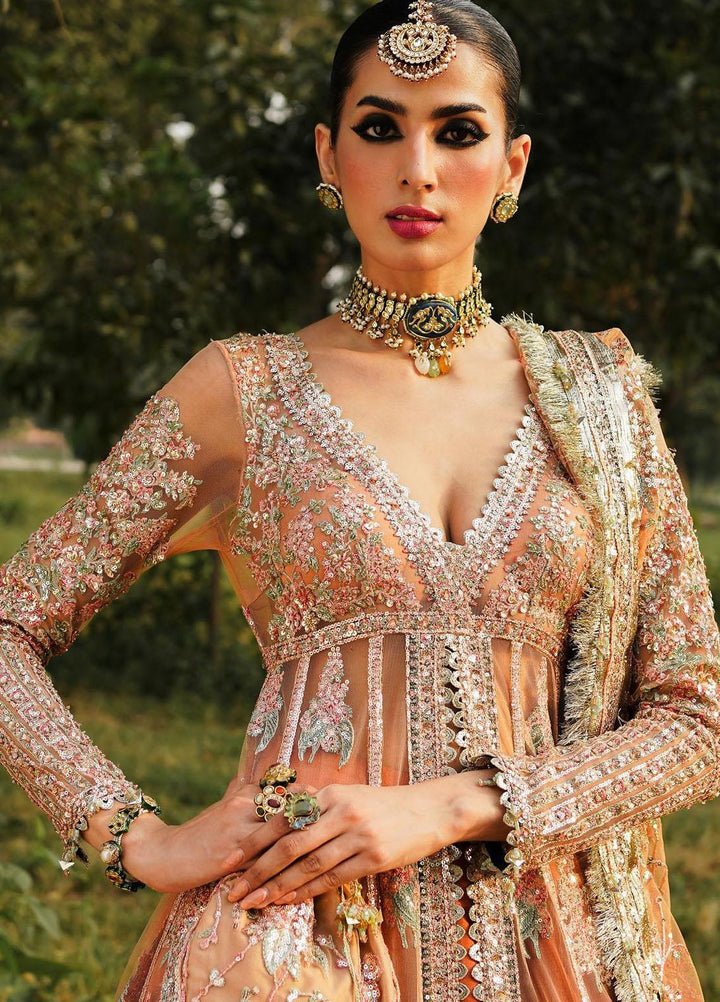 Zaib-un-Nisa by Hussain Rehar Embroidered Net Suits Unstitched 4 Piece HRR23ZN Chaman - Festive Collection