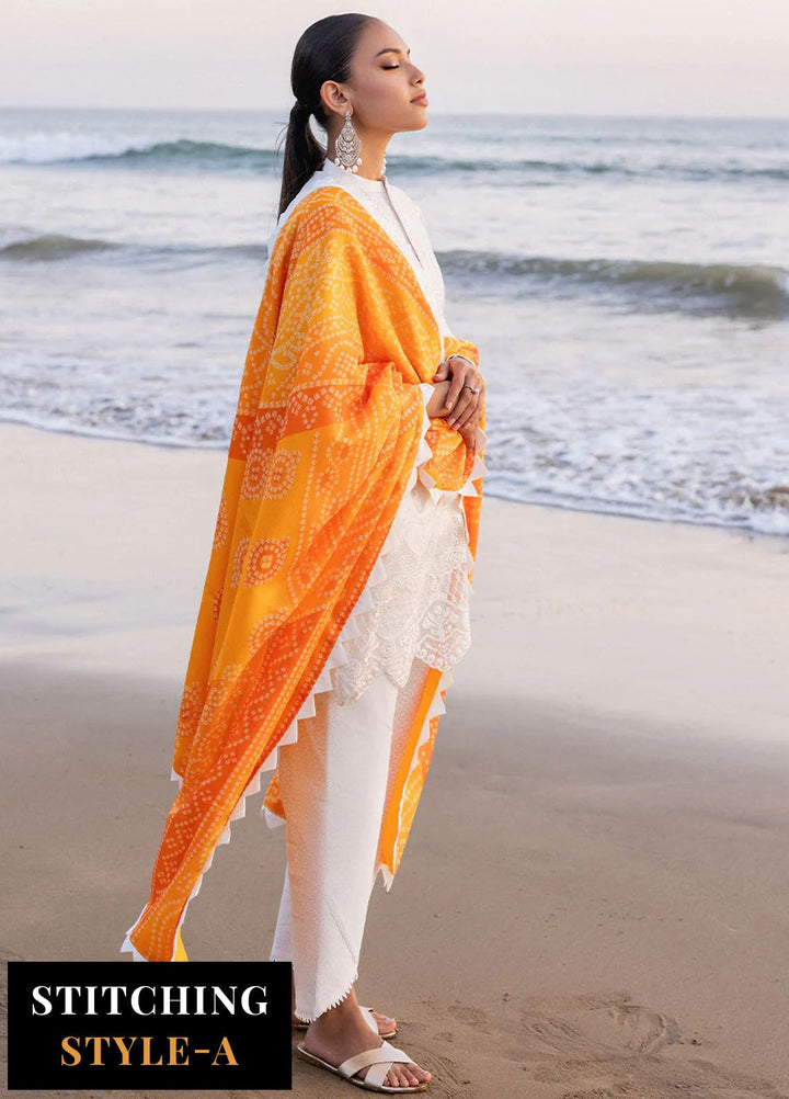 Zainab Chottani Chikankari Lawn Suits Unstitched 3 Piece ZC24CL D-3B Chunari - Summer Collection