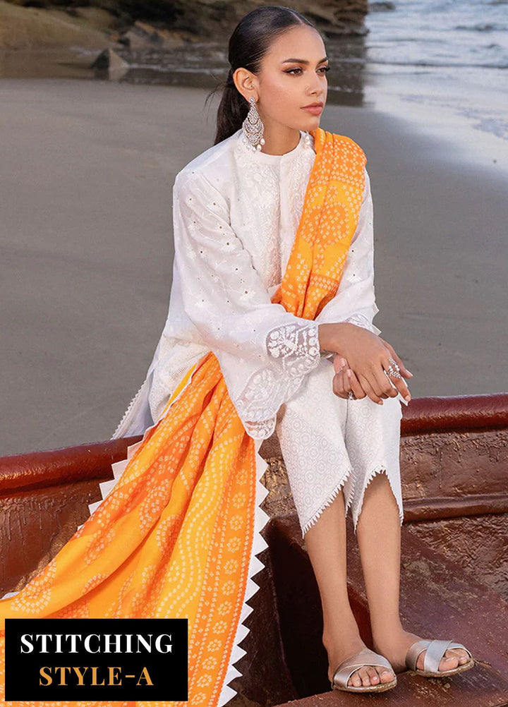 Zainab Chottani Chikankari Lawn Suits Unstitched 3 Piece ZC24CL D-3B Chunari - Summer Collection