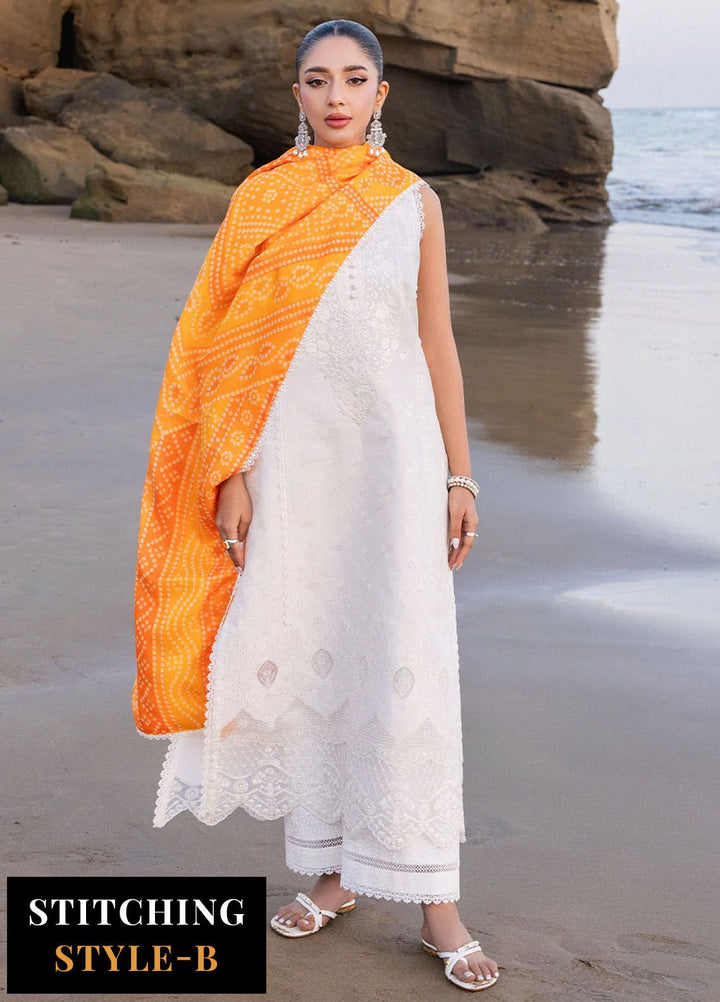 Zainab Chottani Chikankari Lawn Suits Unstitched 3 Piece ZC24CL D-3B Chunari - Summer Collection