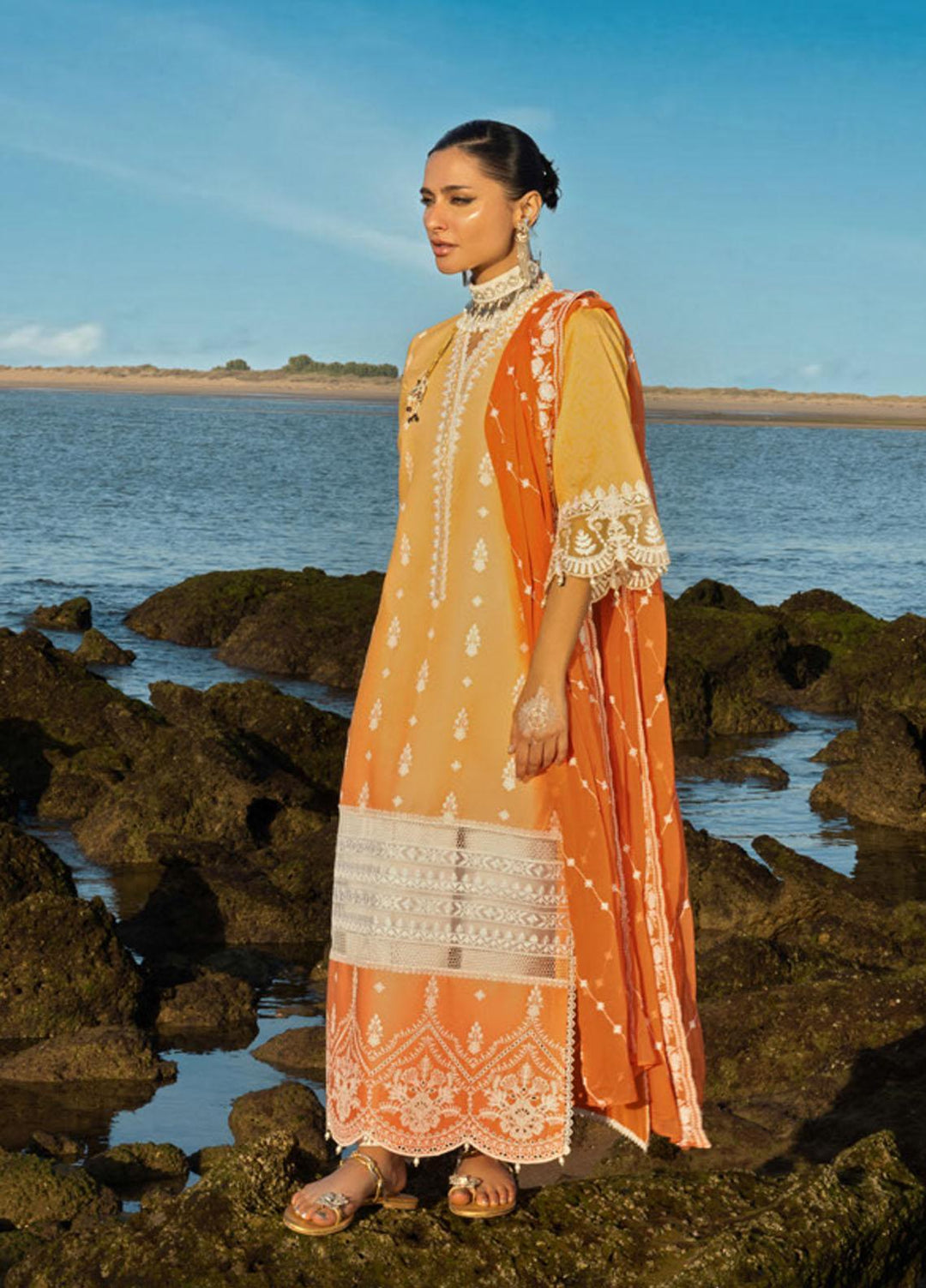 Zainab Chottani Embroidered Lawn Suits Unstitched 3 Piece AFSANA ZC23CHN 08-B - Luxury Lawn Collection