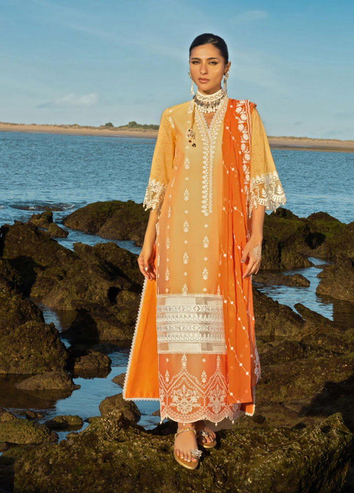 Zainab Chottani Embroidered Lawn Suits Unstitched 3 Piece AFSANA ZC23CHN 08-B - Luxury Lawn Collection