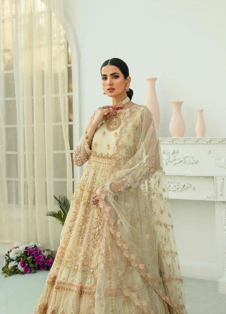 Zainab Fareedi Embroidered Net Suits Unstitched 3 Piece ZNF23LF Rosa ZF004 - Luxury Festive Collection