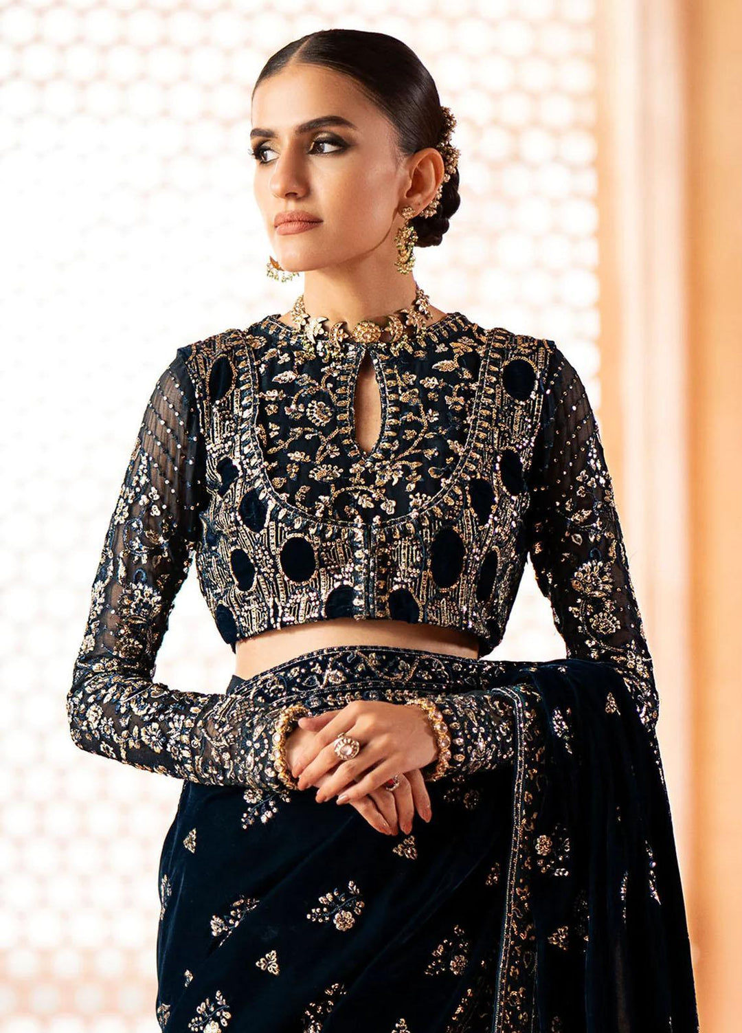 Zardozi By AIK Atelier Embroidered Velvet  Unstitched Saree AIK23Z Look 06 - Premium Collection