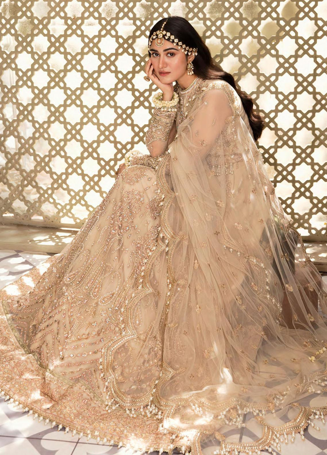 Zarin by Eleshia Embroidered Net Suits Unstitched 3 Piece ELS23UF D-02 KANEEL - Luxury Formal Collection