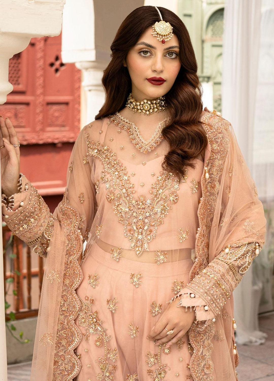 Zarin By Eleshia Embroidered Net Suits Unstitched 3 Piece ELS23ZN D-02 Leena - Wedding Collection