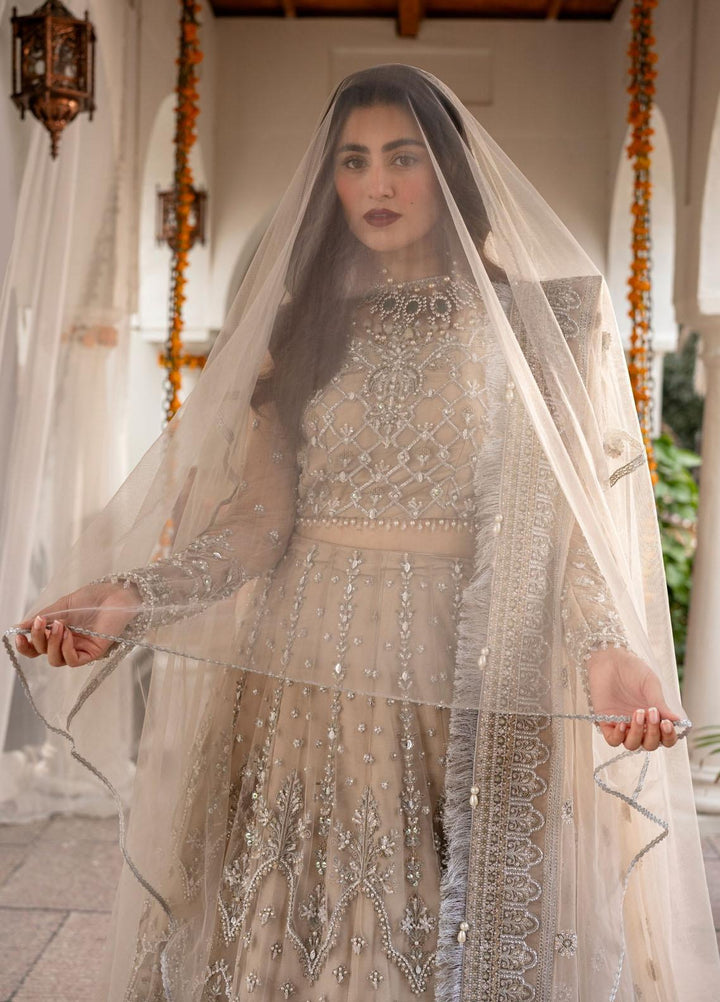 Zarin By Eleshia Embroidered Net Suits Unstitched 3 Piece ELS23ZN D-03 Elayne - Wedding Collection