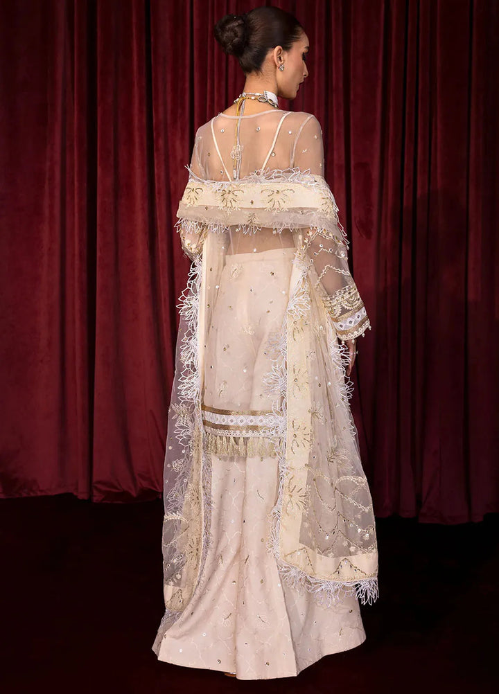 Embroidered Net 3 Piece Suit