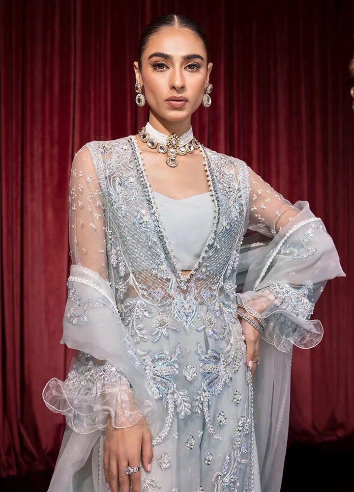 Embroidered Net 3 Piece Suit