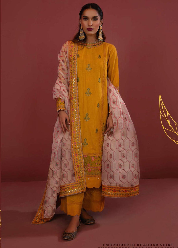 Zellbury Embroidered Khaddar Suits Unstitched 3 Piece ZB21W ZWULCE322009 - Winter Collection