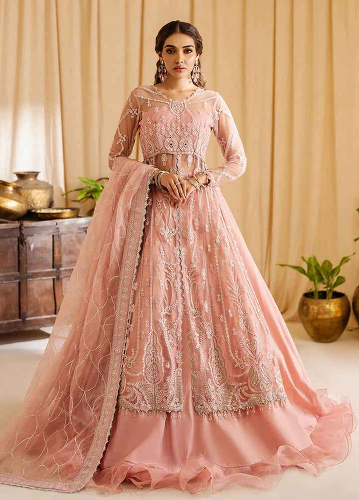 Zoya and Fatima Embroidered Net Suit Unstitched 4 Piece ZOF24FD Sijal - Formals Collection