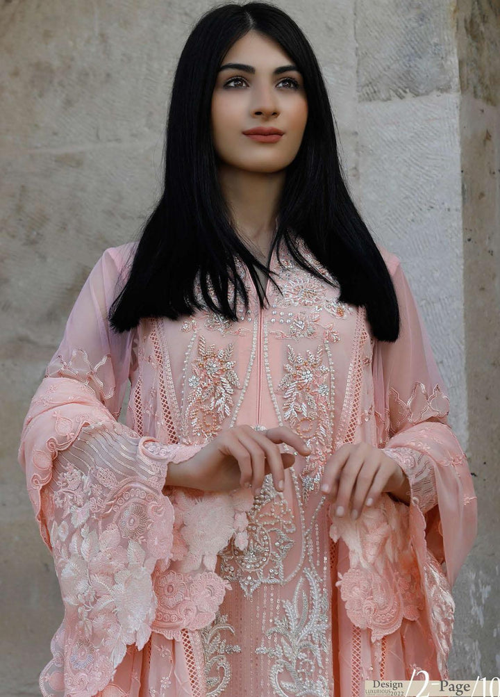 ZUNUJ Embroidered Chiffon Suits Unstitched 3 Piece ZJ22LF D-02 - Luxury Formals Collection