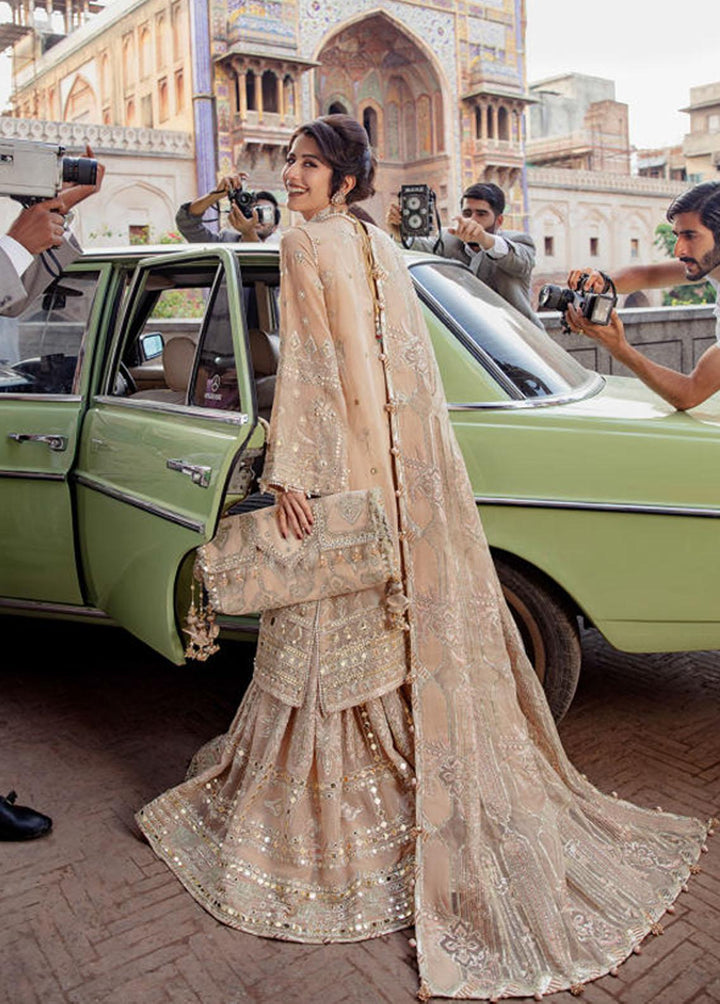 Zarlish by Mohsin Naveed Ranjha Embroidered Net Suits Unstitched 3 Piece MNR22Z ZWU22-12 Noor Jahan - Festive Collection